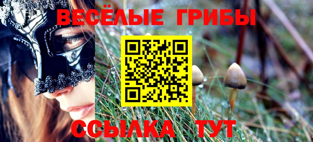 Грозный  Галлюциногенные грибы Psilocybine cubensis  Псилоцибиновые грибы ЛСД  Вход с VPN 